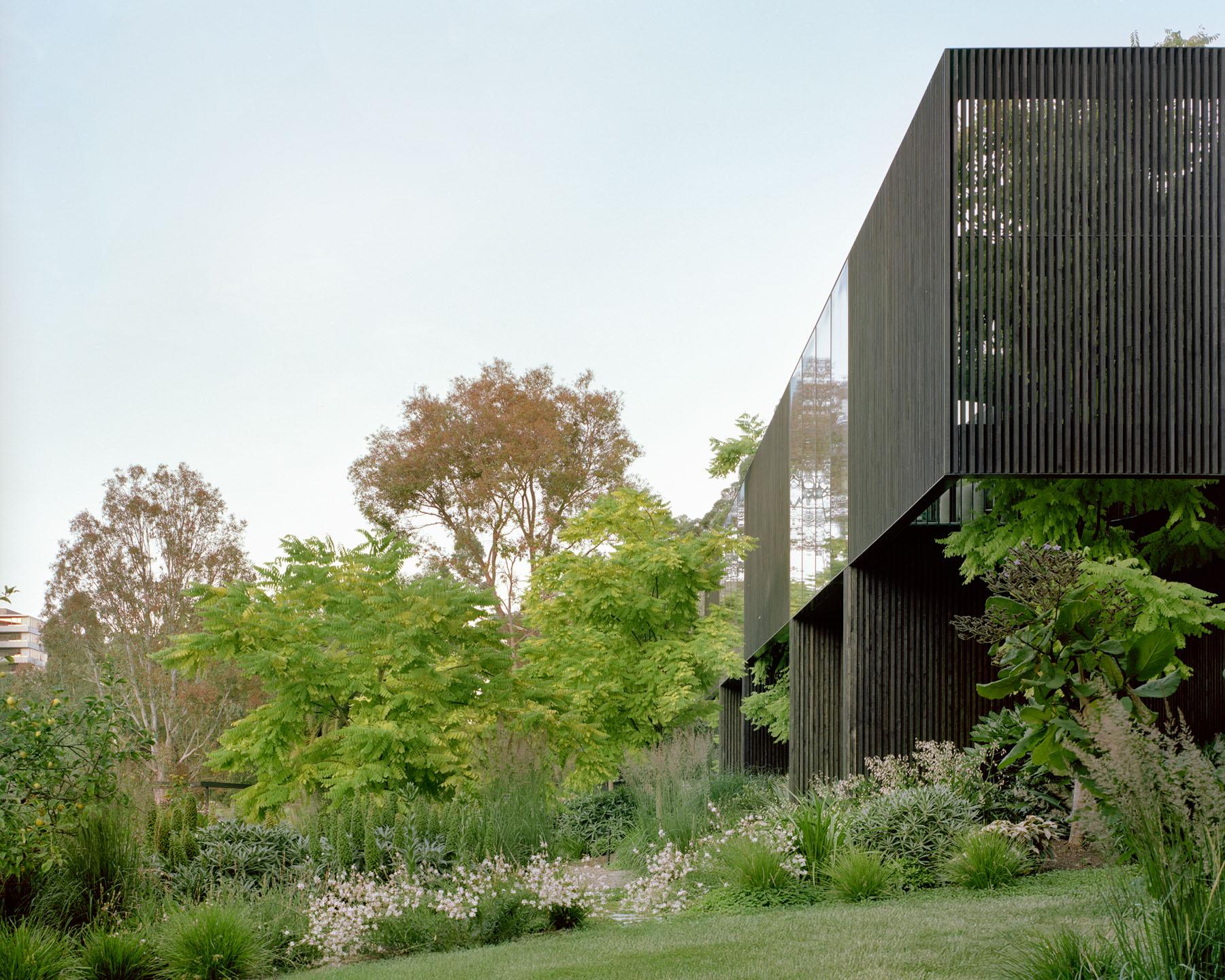 树冠住宅(Canopy House)