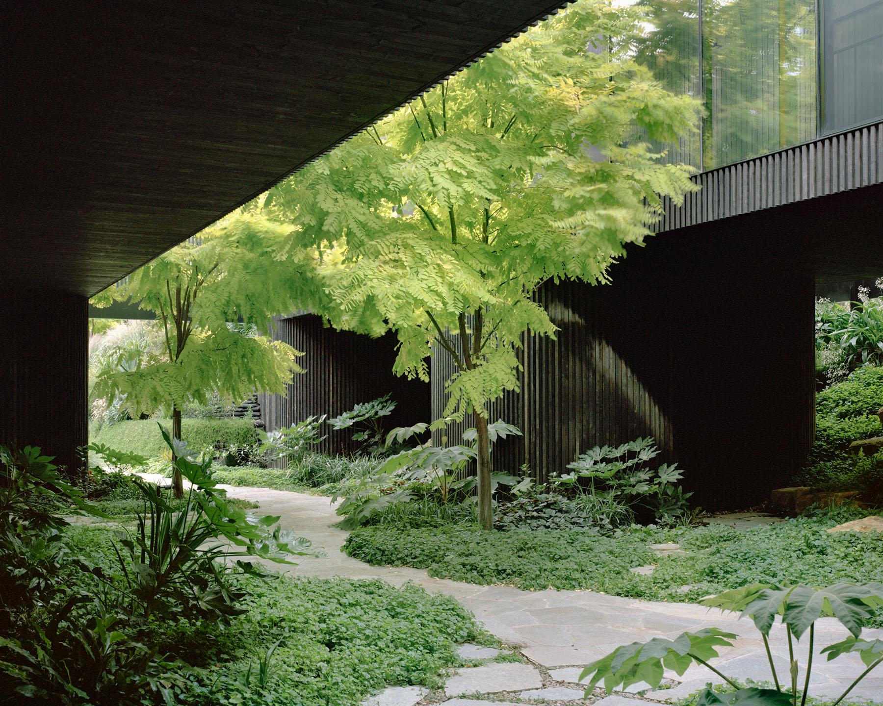 树冠住宅(Canopy House)