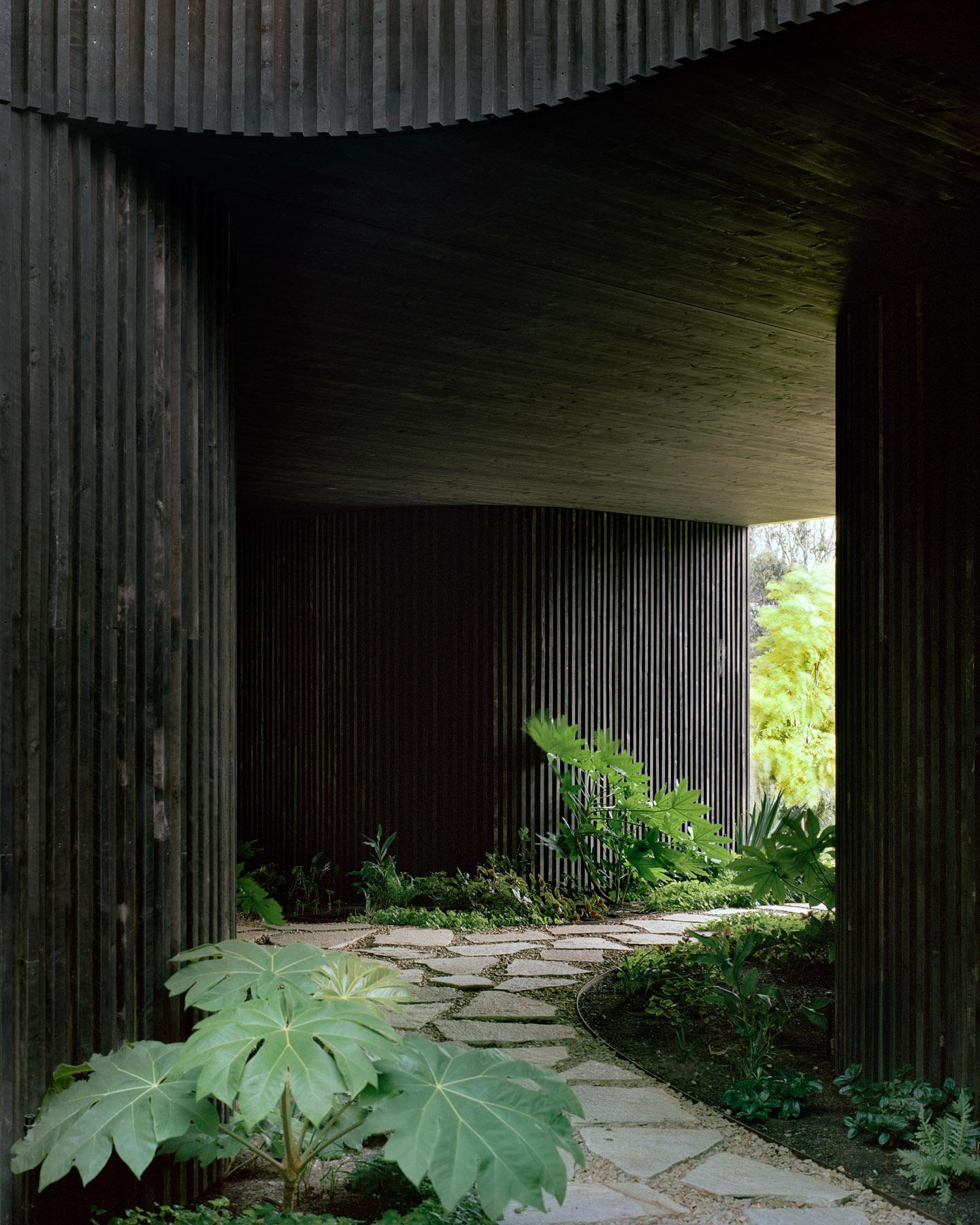 树冠住宅(Canopy House)