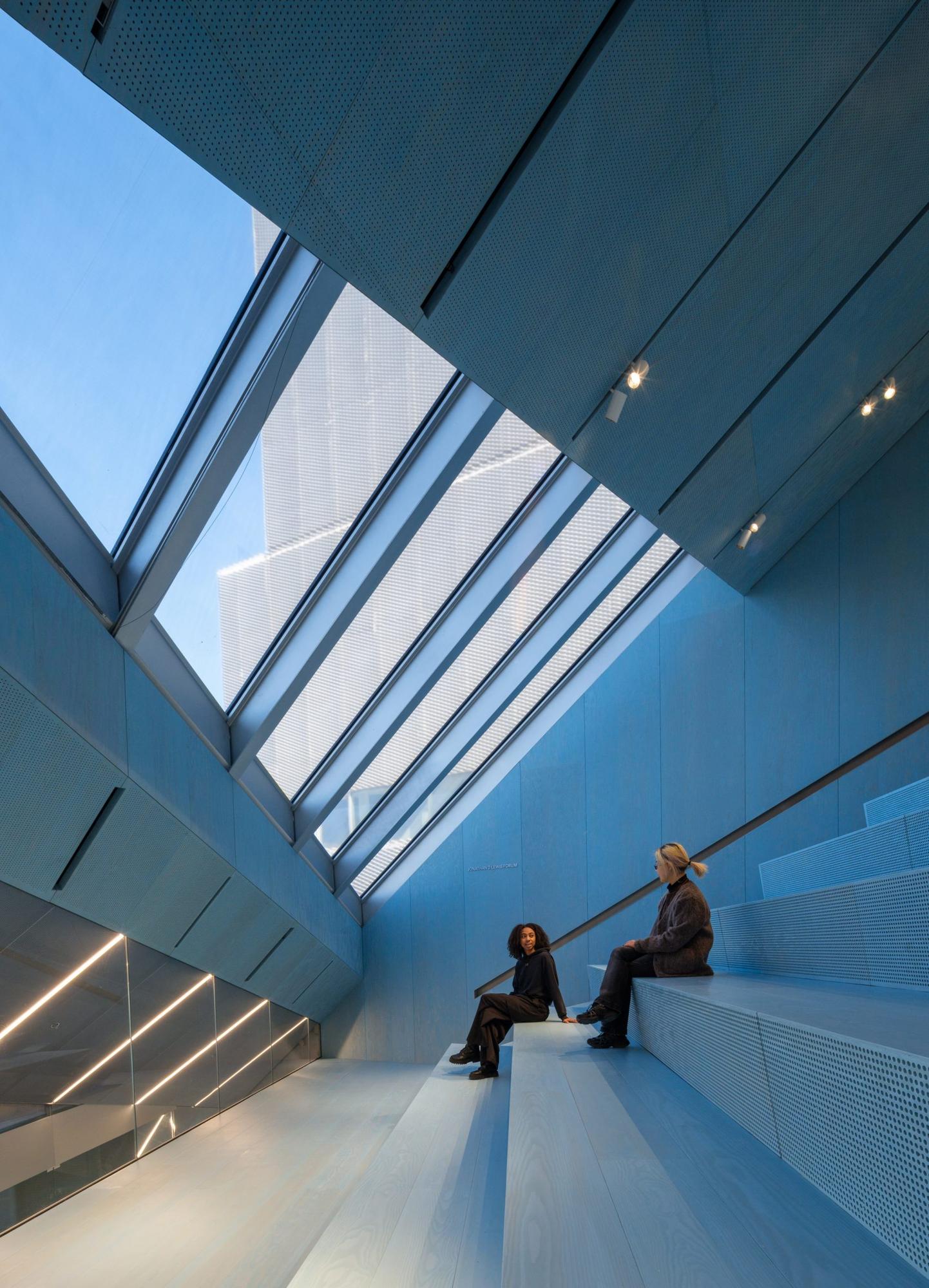 纽约新博物馆扩建（New Museum Expansion）